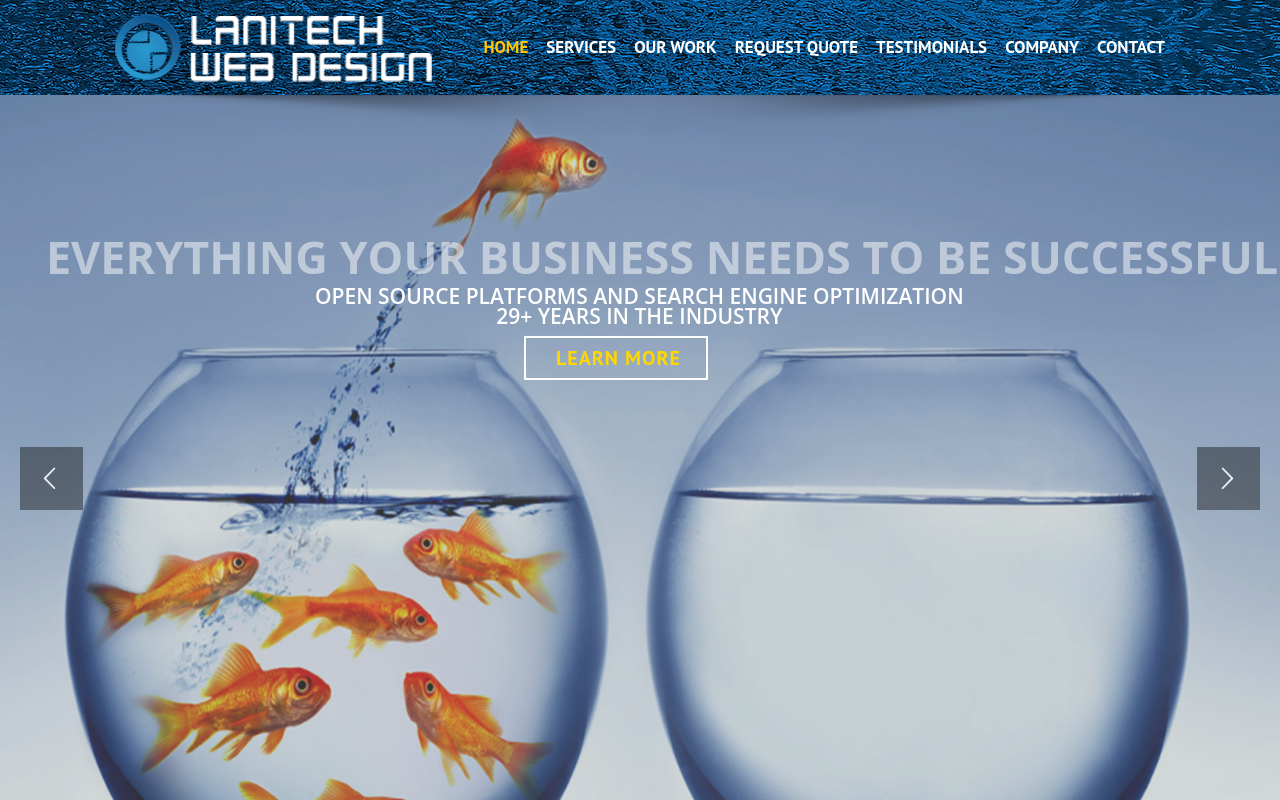 Lanitech Web Design homepage screenshot